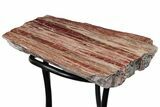 Arizona Petrified Wood Table With Metal Base #214471-10